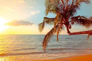 belle plage tropicale au coucher du soleil avec palmier et ciel bleu pour voyager en vacances se détendre, style photo vintage