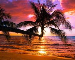silhouette de palmier, beau coucher de soleil sur la mer sur la plage tropicale avec ciel de couleur orange et nuages pour voyager en vacances se détendre photo