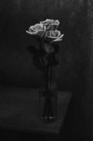 trois fleurs roses dans un vase photo