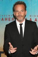 los angeles - jan 10 - stephen dorff à la première projection de la saison 3 du vrai détective à la Directors Guild of America le 10 janvier 2019 à los angeles, ca photo