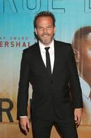 Los angeles - 10 janvier - stephen dorff à la première projection de la saison 3 du vrai détective à la Directors Guild of America le 10 janvier 2019 à los angeles, ca photo