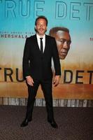 Los angeles - 10 janvier - stephen dorff à la première projection de la saison 3 du vrai détective à la Directors Guild of America le 10 janvier 2019 à los angeles, ca photo