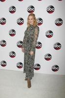 vlos angeles, jan 9 - wendi mclendon-covey à la soirée disney abc tv 2016 tca à l'hôtel langham huntington le 9 janvier 2016 à pasadena, ca photo