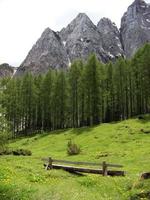 Banc en bois dans le parc national du Triglav photo