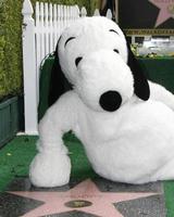 los angeles, nov 2 - snoopy au snoopy hollywood walk of fame cérémonie au hollywood walk of fame le 2 novembre 2015 à los angeles, ca photo