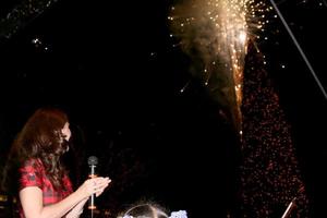 Heather Tom sur scène regarde les feux d'artifice après l'allumage de l'arbre à la cérémonie d'illumination des arbres du centre commercial americana à glendale, ca le 15 novembre 2008 2008 kathy hutchins hutchins photo