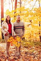 vue sur la promenade d'automne photo