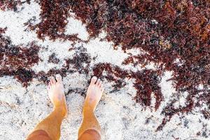 marcher pieds nus sur le sable de la plage au bord de l'eau mexique. photo