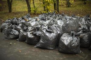 journée de nettoyage en russie. beaucoup de sacs de feuilles. sacs poubelles noirs. après avoir nettoyé la cour. photo
