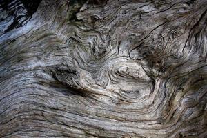texture de fond en bois rustique tourbillonné photo