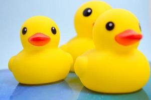 trois canards en caoutchouc jaune vif se sont promenés sur l'eau. jouets pour enfants avec un préjugé en développement et une natation amusante photo