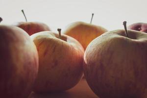 bouquet de pommes photo