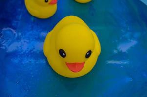 un canard en caoutchouc jaune solitaire assombri flotte sur l'époxy à la recherche de nourriture. en raison de la pollution des plans d'eau, même les canards jouets n'ont pas d'eau pour nager dans les océans photo