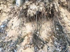 texture de la terre sur un ravin avec des racines saillantes d'arbres faites de sable et de terre. l'arrière-plan photo