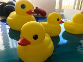 les canards en caoutchouc jaunes sont assis sur une surface brillante aqueuse de résine époxy bleue. canards aux yeux noirs pour nager avec les enfants en mousse blanche et dans la salle de bain. jouets éducatifs photo