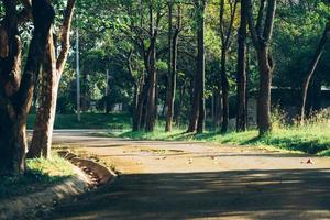 chemin dans un parc public photo