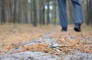 jeune homme perd son trousseau de clés sur le chemin du bois de sapin d'automne russe. concept de négligence et de perte de clés photo