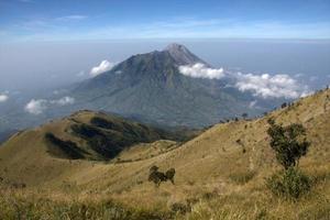 voir la montagne merapi depuis le sommet de la montagne merbabu. Java central, Indonésie. photo