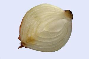 bawang bombay. texture d'oignon avec un fond blanc photo