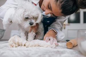 femme dans la cuisine pétrit la pâte avec son chien photo