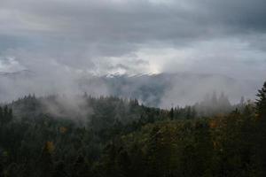 forêt de conifères et paysage de montagnes voyage paysage serein photo