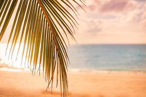 vacances d'été artistiques vue floue sur la plage de l'océan, horizon et lumière du coucher du soleil. fond de voyage de rêve, magnifique magnifique coucher de soleil tropical lumineux, feuilles de palmier ensoleillées majestueuses côtes de la plage de sable photo