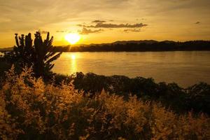 beau paysage coucher de soleil rivière ciel jaune au fleuve mékong et champ d'herbe silhouette au bord de la rivière photo