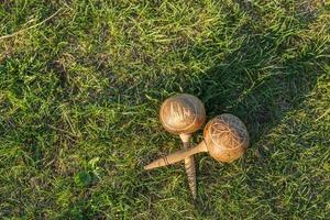 maracas cubains. instrument de musique traditionnel fait de matériaux naturels se trouve sur l'herbe verte photo