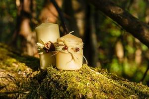 deux bougies, deux bougies en cire sur une vieille bûche dans la forêt. photo