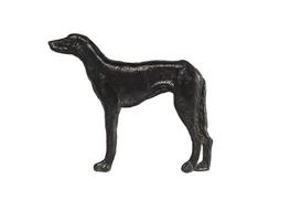 figure de chien noir sur fond blanc, race de pointage photo