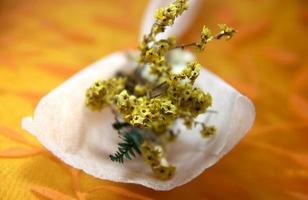 petit mini bouquet de fleurs jaunes sur fond orange. photo de fond d'écran à thème joyeux et romantique avec mise au point sélective sur les pétales de la fleur. image de fond colorée d'automne.