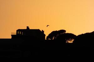 paysage rétro-éclairé au coucher du soleil photo