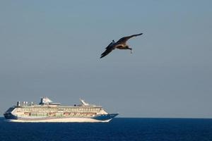 mouettes volant dans le ciel méditerranéen, oiseaux sauvages sur la côte catalane, espagne photo