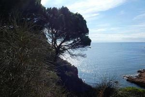 pins, rochers et falaises sur la costa brava catalane en mer méditerranée photo