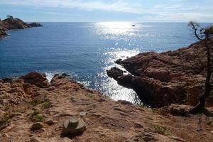 pins, rochers et falaises sur la costa brava catalane en mer méditerranée photo