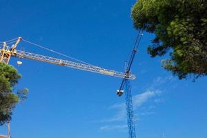 grues travaillant sur la construction photo