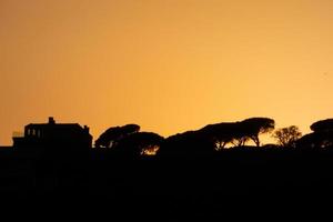 paysage rétro-éclairé au coucher du soleil photo