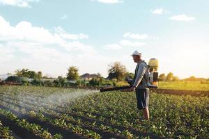 l'agriculteur pulvérise des pesticides sur la plantation. utilisation de produits chimiques pour la protection des plantes contre les insectes et les infections fongiques. travaux agricoles sur le terrain. pesticides et fongicides. agriculture et agro-industrie. photo