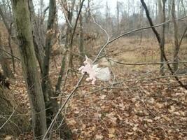 décoration de licorne sur branche dans les bois ou la forêt photo