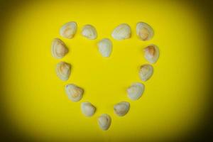 coeur symbolique fait de coquillages se trouvant sur fond jaune photo