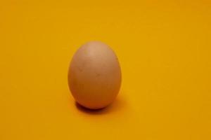 deux œufs de poule isolés sur fond photo