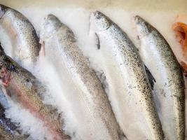 poissonnerie. vente de truites réfrigérées au comptoir. poisson dans la glace. produits carnés photo