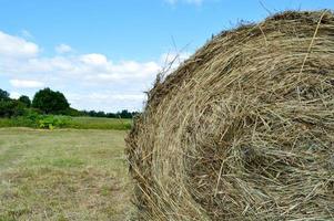 la texture d'une meule de foin séchée naturelle ronde de paille est une herbe sèche dans un village sur une ferme contre un ciel bleu avec des nuages. récolte d'aliments pour animaux. l'arrière-plan photo