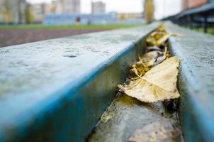 les feuilles jaunes tombées se trouvent sur un banc en bois sur l'arrière-plan flou du stade. photo