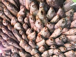 la texture du poisson de mer salé séché avec une tête, une bouche ouverte et des écailles. snack de poisson salé pour la bière. l'arrière-plan photo