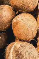 noix de coco mûres au marché fermier. vente d'aliments biologiques exotiques respectueux de l'environnement. fruits tropicaux dans le panier.
