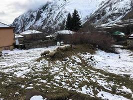 petites maisons en pierre, bâtiments dans le village sur une belle station d'hiver froide de montagne avec de la brume et des rochers couverts de neige pour faire du snowboard et du ski contre un ciel bleu photo