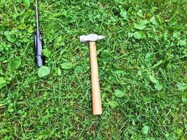 il y a un marteau et un tournevis sur l'herbe. des outils pour les réparations sont disposés sur la pelouse. marteau sur un manche en bois avec une pointe chromée. parmi les petites feuilles vertes photo