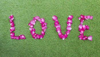 vue de dessus des pétales de rose dans une rangée d'amour. notion de saint valentin photo