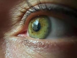gros plan sur un œil vert humain. photo